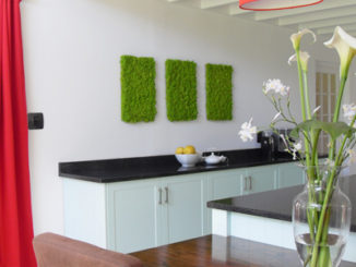 reindeer-moss-kitchen