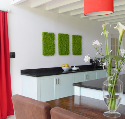 reindeer-moss-kitchen