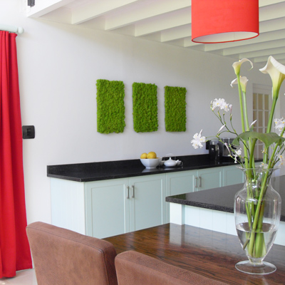 reindeer-moss-kitchen